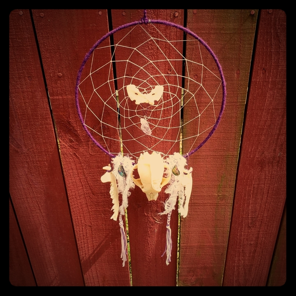 Oddities Dreamcatcher(Coyote skull, jaw and atlas)